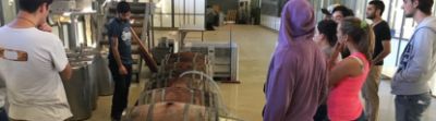 Magíster en Enología y Vitivinicultura